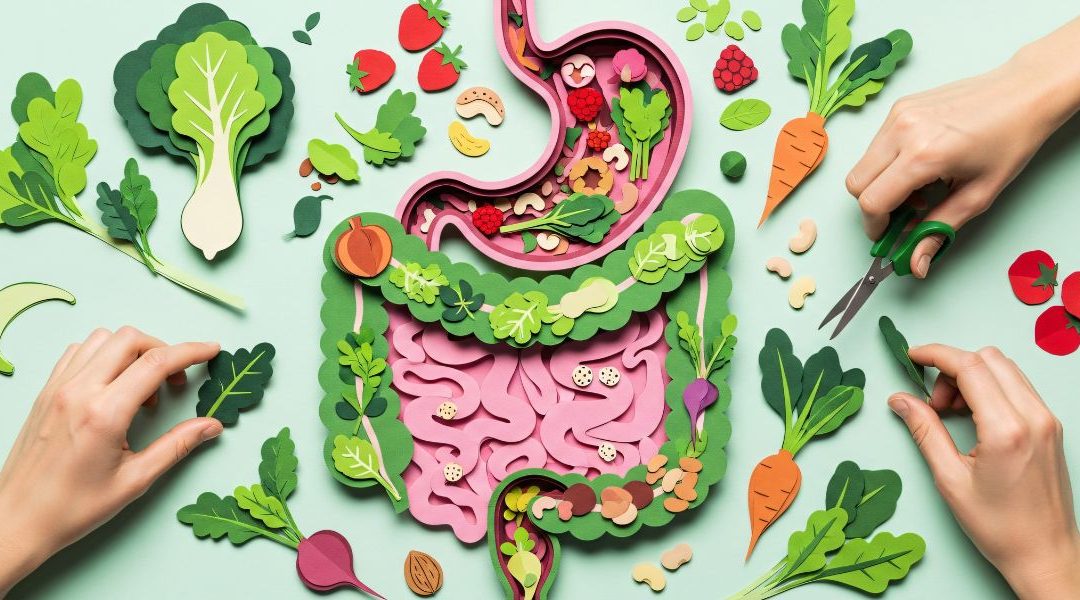 Alimentation et santé intestinale chez le sportif : Optimiser votre performance