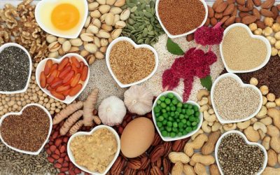 Glucides ou lipides avant effort endurance : faire le bon choix sans se tromper